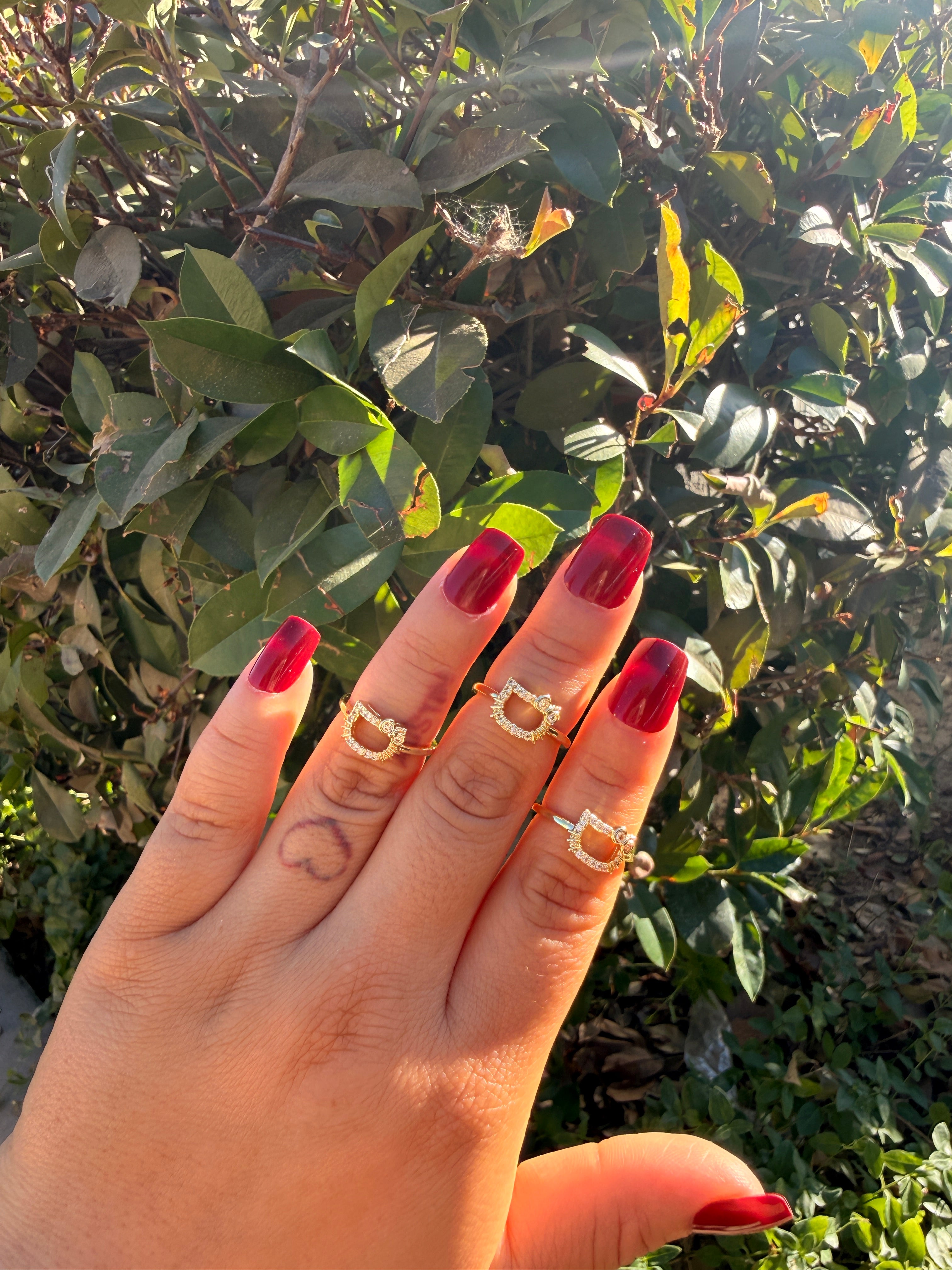 Hk outline ring