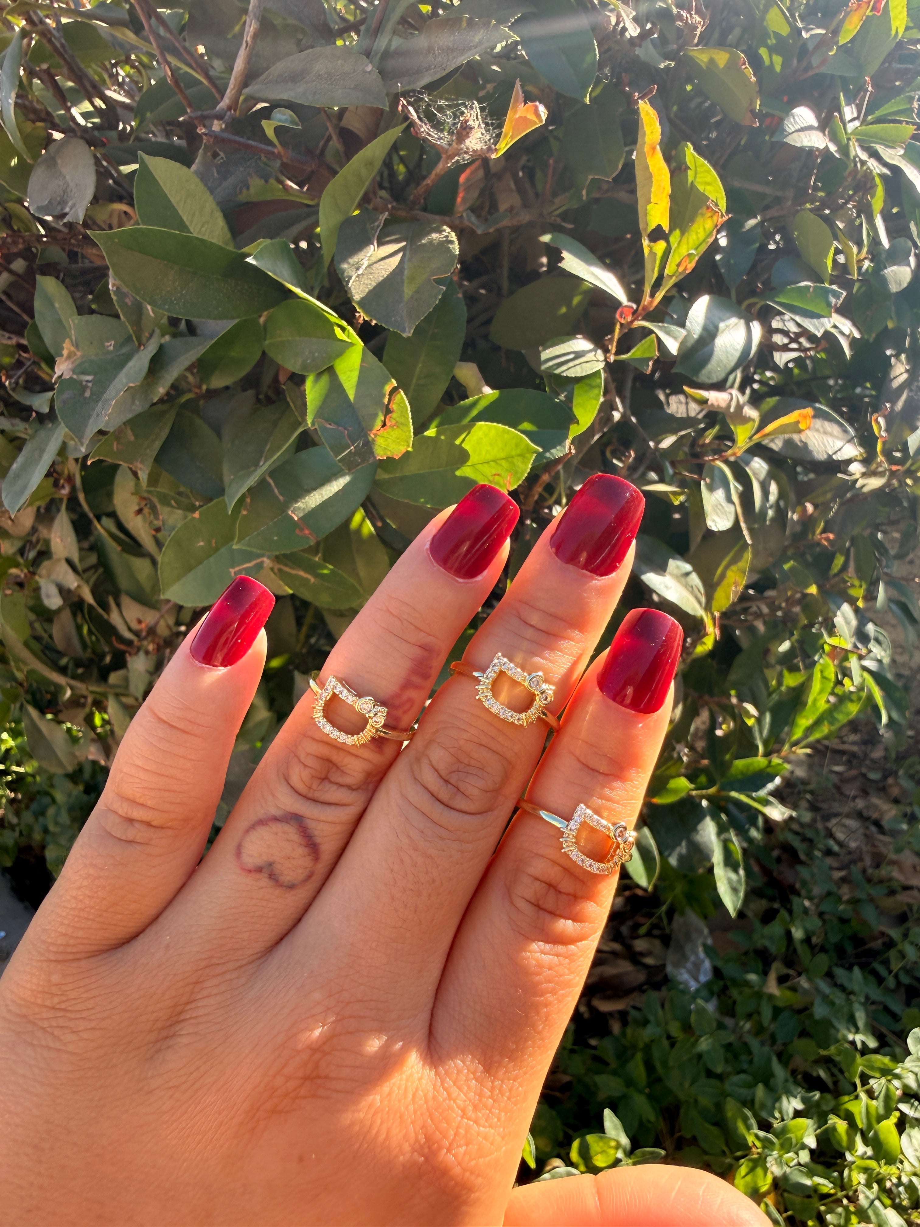 Hk outline ring